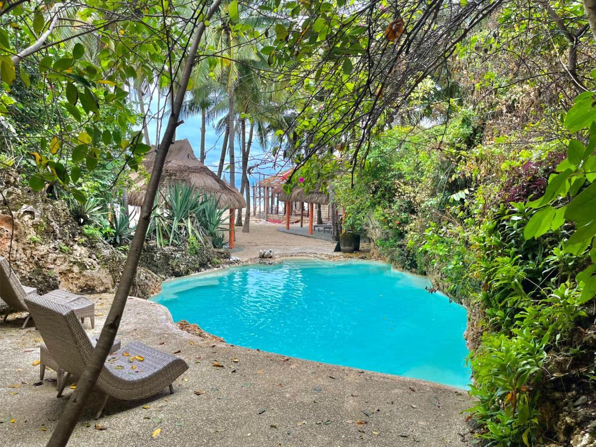 Coco Grove Beach Resort, Siquijor Island المظهر الخارجي الصورة The swimming pool at the resort